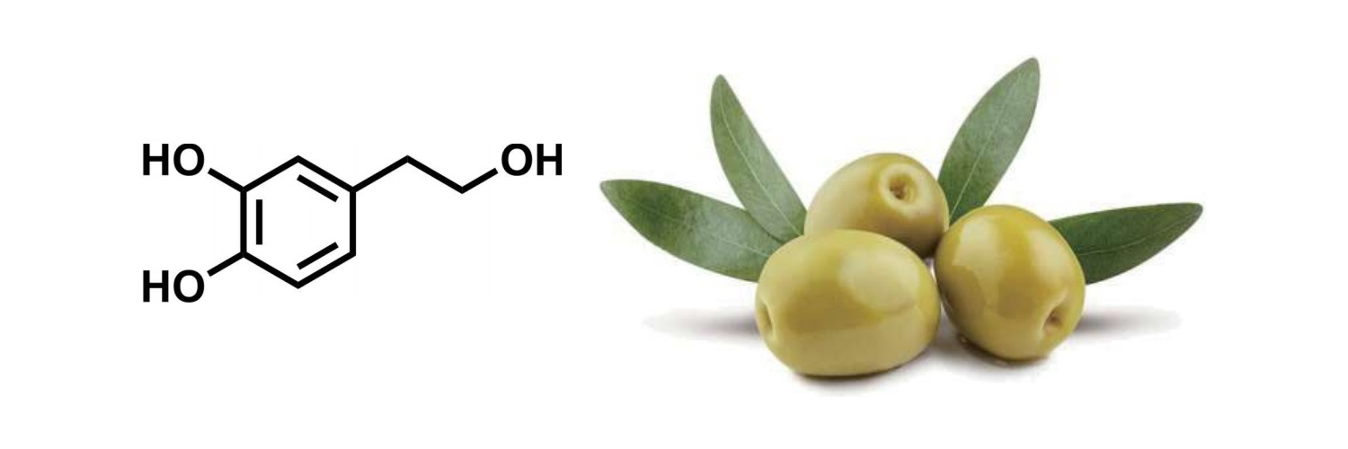 Hidroxitirosol: el refuerzo inmunológico definitivo para mejorar el bienestar