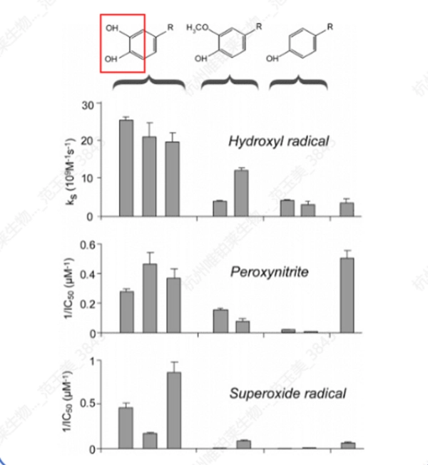 Mecanismo antioxidante interno dual Dual Internal Antioxidant Mechanism