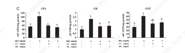 Activación de la red de defensa celular Nrf2 Activating the Nrf2 Cellular Defense Network