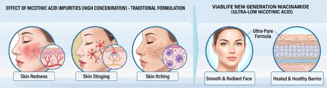 Niacinamida superior Top Niacinamide